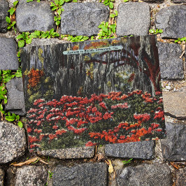 Azalea's in Bloom in Savannah GA-Briefkaarten Briefkaart