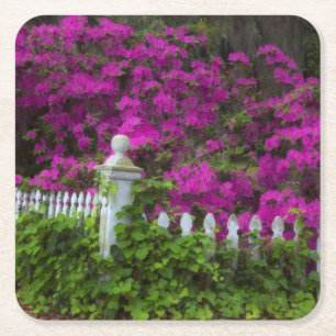 Azalea's in de lente op het historische eiland Hop Kartonnen Onderzetters