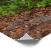 Azalea's in de lente op het historische eiland Hop Poster (Hoek)