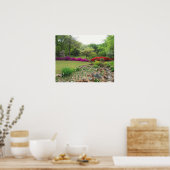 Azaleas in Oklahoma Poster (Keuken)