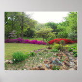 Azaleas in Oklahoma Poster (Voorkant)