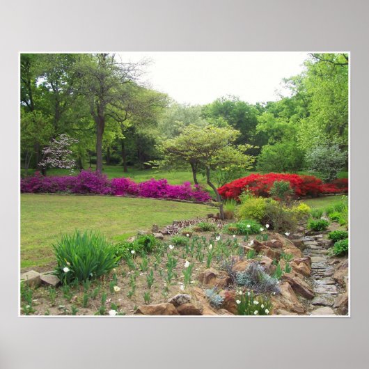 Azaleas in Oklahoma Poster (Voorkant)