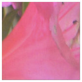 Azalea's in roze.... stof (Close Up)