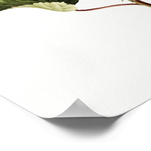 Azaleas Poster (Hoek)