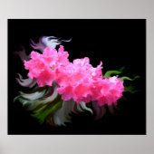 Azaleas Poster (Voorkant)