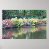 Azaleas Poster (Voorkant)