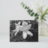 Azaleas/Rhododendrons in B&W Briefkaart (Staand voorkant)
