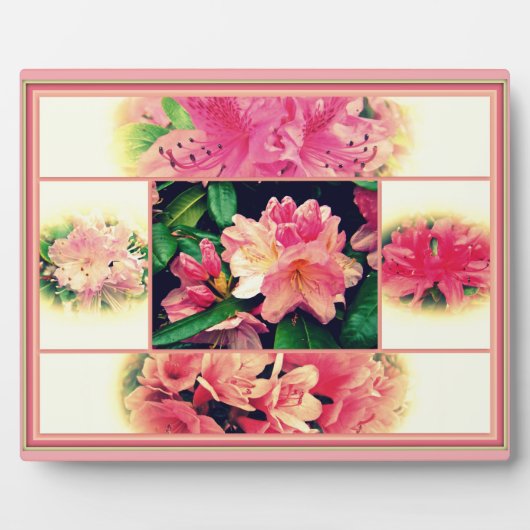 Azaleas Stijl 1950 Fotoplaat (Voorkant)