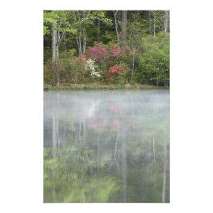 Azalea's weerspiegeld in een vijver tijdens de vro foto afdruk