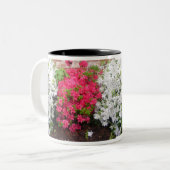 Azaleasrap rond Mok (Voorkant links)