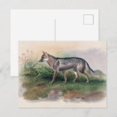 Azara's Fox van Joseph Wolf Briefkaart (Voorkant / Achterkant)