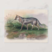 Azara's Fox van Joseph Wolf Briefkaart (Voorkant)