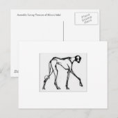 Azawakh Briefkaart 2 (Voorkant / Achterkant)