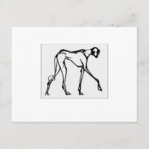 Azawakh Briefkaart 2