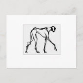 Azawakh Briefkaart 2 (Voorkant)