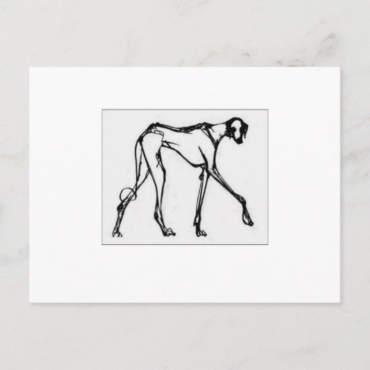 Azawakh Briefkaart 2 (Voorkant)