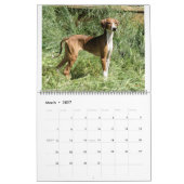 AZAWAKH CALENDAR 2016 KALENDER (Mar 2027)