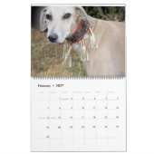 AZAWAKH CALENDAR 2016 KALENDER (Feb 2027)