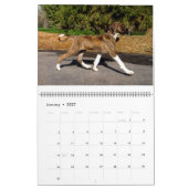 AZAWAKH CALENDAR 2016 KALENDER (Jan 2027)