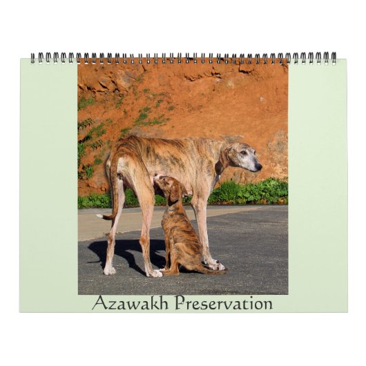 AZAWAKH CALENDAR 2016 KALENDER (Hoes)