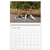 AZAWAKH CALENDAR 2016 KALENDER (Jan 2026)