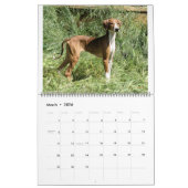 AZAWAKH CALENDAR 2016 KALENDER (Mar 2026)