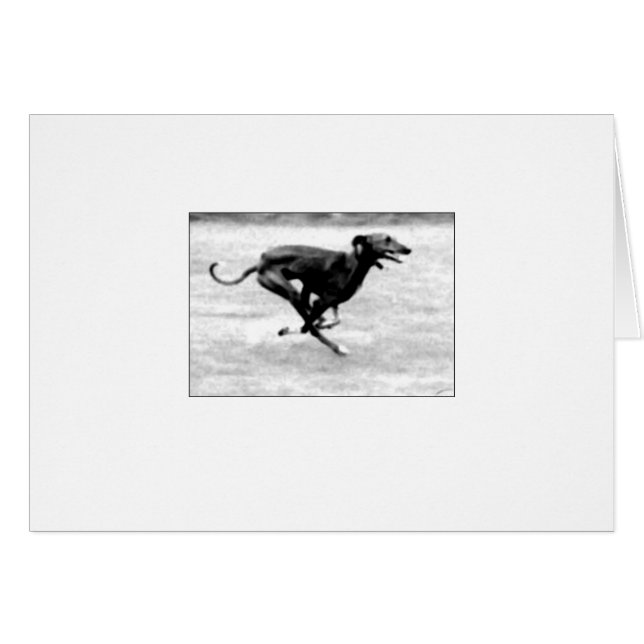 Azawakh Card 3 van David Moore (Voorkant Horizontaal)