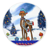 AZAWAKH KERAMISCHE KNOP (Voorkant)