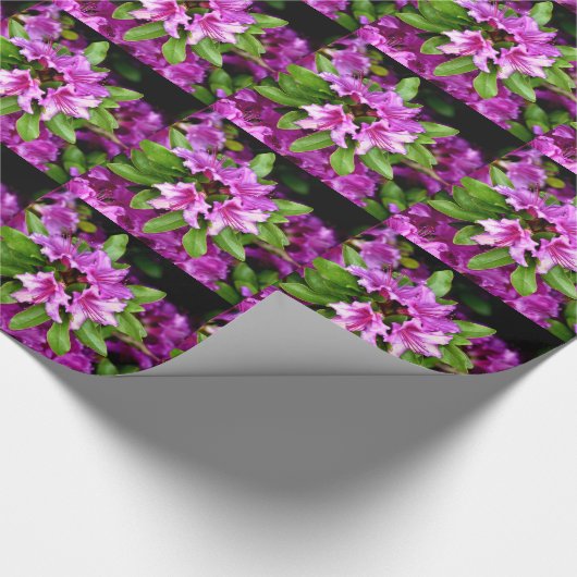 Azelia Gift Wrap Cadeaupapier (Hoek)