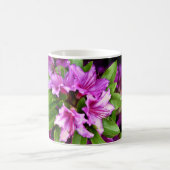 Azelia Mokken (Center)