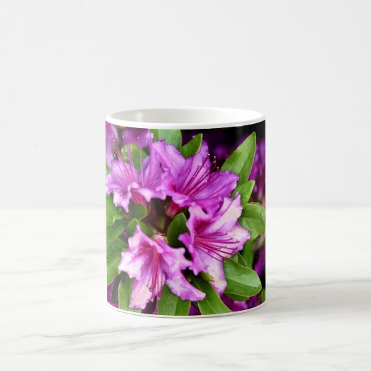 Azelia Mokken (Center)