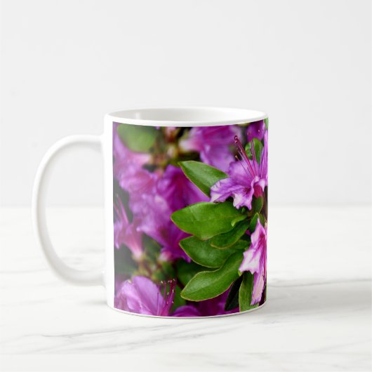 Azelia Mokken (Links)