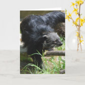 Aziatisch Wenskaart Bearcat Kaart (Gele Bloem)