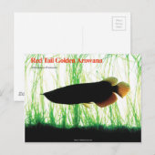 Aziatische Arowana Briefkaart (Voorkant / Achterkant)