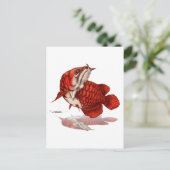 Aziatische arowana briefkaart (Staand voorkant)