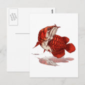 Aziatische arowana briefkaart (Voorkant / Achterkant)
