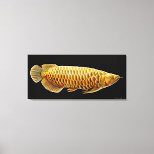 Aziatische Arowana Vis Verpakt Canvas