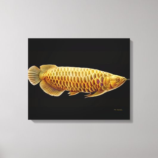 Aziatische Arowana Vis Verpakt Canvas Afdruk (Voorkant)