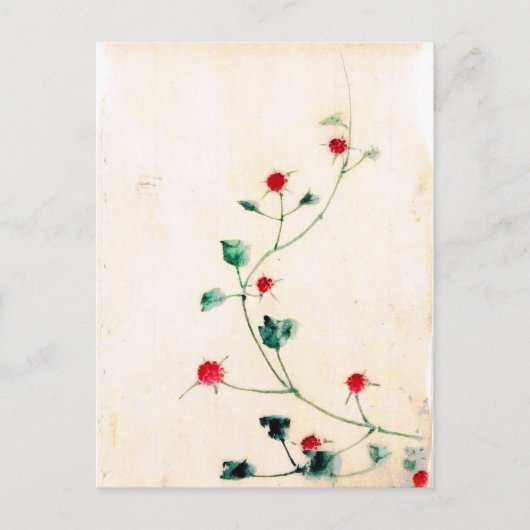 Aziatische Bloem Briefkaart (Voorkant)