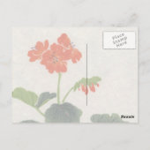Aziatische bloesems  Briefkaart (Achterkant)