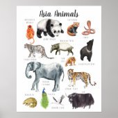 Aziatische Dieren | Onderwijs Leren Klaslokaal Poster (Voorkant)
