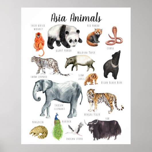Aziatische Dieren | Onderwijs Leren Klaslokaal Poster (Voorkant)