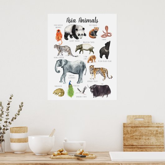 Aziatische Dieren | Onderwijs Leren Klaslokaal Poster (Keuken)