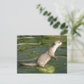 Aziatische geelotter briefkaart (Staand voorkant)