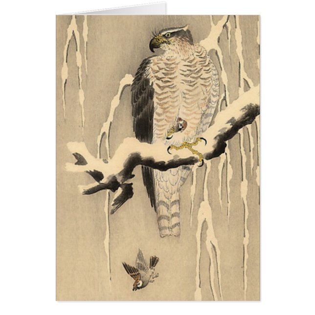 Aziatische Goshawk schilderen (Voorkant)