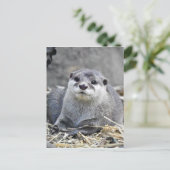 Aziatische kleingeestige otter briefkaart (Staand voorkant)