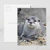 Aziatische kleingeestige otter briefkaart (Voorkant / Achterkant)