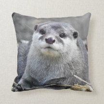 Aziatische kleingeestige otter