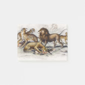 Aziatische Leeuw, Leeuwin, Bengaalse Tijger, Luipa Post-it® Notes (Voorkant)