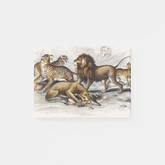Aziatische Leeuw, Leeuwin, Bengaalse Tijger, Luipa Post-it® Notes (Voorkant)